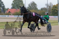 Dateiname=20251009_r02_035_R02_0134.jpg
Dateigröße=274KB
Abmessungen: 1000x667
hinzugefügt am: 09. Oktober 2025 20251009_r02_035_R02_0134.jpg