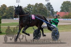 Dateiname=20251009_r02_036_R02_0143.jpg
Dateigröße=295KB
Abmessungen: 1000x667
hinzugefügt am: 09. Oktober 2025 20251009_r02_036_R02_0143.jpg