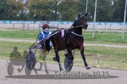 Dateiname=20251009_r02_037_R02_0146.jpg
Dateigröße=271KB
Abmessungen: 1000x667
hinzugefügt am: 09. Oktober 2025 20251009_r02_037_R02_0146.jpg