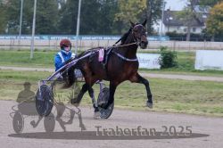 Dateiname=20251009_r02_039_R02_0152.jpg
Dateigröße=278KB
Abmessungen: 1000x667
hinzugefügt am: 09. Oktober 2025 20251009_r02_039_R02_0152.jpg