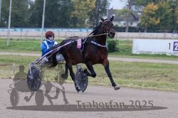 Dateiname=20251009_r02_040_R02_0153.jpg
Dateigröße=281KB
Abmessungen: 1000x667
hinzugefügt am: 09. Oktober 2025 20251009_r02_040_R02_0153.jpg