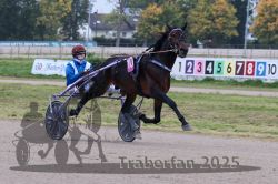 Dateiname=20251009_r02_041_R02_0156.jpg
Dateigröße=302KB
Abmessungen: 1000x667
hinzugefügt am: 09. Oktober 2025 20251009_r02_041_R02_0156.jpg