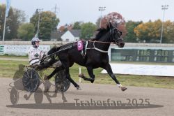 Dateiname=20251009_r02_043_R02_0164.jpg
Dateigröße=250KB
Abmessungen: 1000x667
hinzugefügt am: 09. Oktober 2025 20251009_r02_043_R02_0164.jpg