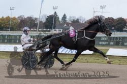 Dateiname=20251009_r02_045_R02_0170.jpg
Dateigröße=243KB
Abmessungen: 1000x667
hinzugefügt am: 09. Oktober 2025 20251009_r02_045_R02_0170.jpg