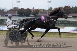 Dateiname=20251009_r02_046_R02_0173.jpg
Dateigröße=241KB
Abmessungen: 1000x667
hinzugefügt am: 09. Oktober 2025 20251009_r02_046_R02_0173.jpg