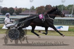 Dateiname=20251009_r02_047_R02_0174.jpg
Dateigröße=246KB
Abmessungen: 1000x667
hinzugefügt am: 09. Oktober 2025 20251009_r02_047_R02_0174.jpg