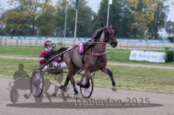 Dateiname=20251009_r02_048_R02_0179.jpg
Dateigröße=282KB
Abmessungen: 1000x667
hinzugefügt am: 09. Oktober 2025 20251009_r02_048_R02_0179.jpg