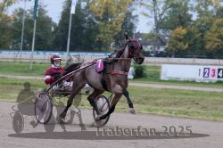 Dateiname=20251009_r02_049_R02_0182.jpg
Dateigröße=277KB
Abmessungen: 1000x667
hinzugefügt am: 09. Oktober 2025 20251009_r02_049_R02_0182.jpg