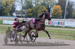 Dateiname=20251009_r02_051_R02_0186.jpg
Dateigröße=311KB
Abmessungen: 1000x667
hinzugefügt am: 09. Oktober 2025 20251009_r02_051_R02_0186.jpg