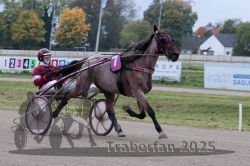 Dateiname=20251009_r02_052_R02_0190.jpg
Dateigröße=282KB
Abmessungen: 1000x667
hinzugefügt am: 09. Oktober 2025 20251009_r02_052_R02_0190.jpg