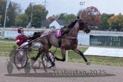 Dateiname=20251009_r02_053_R02_0193.jpg
Dateigröße=257KB
Abmessungen: 1000x667
hinzugefügt am: 09. Oktober 2025 20251009_r02_053_R02_0193.jpg