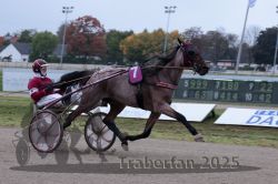 Dateiname=20251009_r02_054_R02_0196.jpg
Dateigröße=252KB
Abmessungen: 1000x667
hinzugefügt am: 09. Oktober 2025 20251009_r02_054_R02_0196.jpg