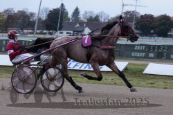 Dateiname=20251009_r02_055_R02_0200.jpg
Dateigröße=262KB
Abmessungen: 1000x667
hinzugefügt am: 09. Oktober 2025 20251009_r02_055_R02_0200.jpg