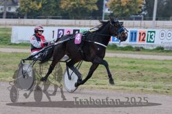 Dateiname=20251009_r02_056_R02_0203.jpg
Dateigröße=278KB
Abmessungen: 1000x667
hinzugefügt am: 09. Oktober 2025 20251009_r02_056_R02_0203.jpg