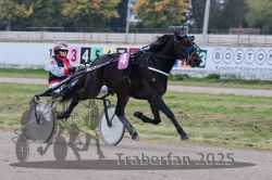 Dateiname=20251009_r02_057_R02_0204.jpg
Dateigröße=283KB
Abmessungen: 1000x667
hinzugefügt am: 09. Oktober 2025 20251009_r02_057_R02_0204.jpg