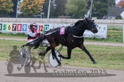 Dateiname=20251009_r02_058_R02_0207.jpg
Dateigröße=289KB
Abmessungen: 1000x667
hinzugefügt am: 09. Oktober 2025 20251009_r02_058_R02_0207.jpg