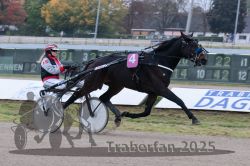 Dateiname=20251009_r02_061_R02_0217.jpg
Dateigröße=274KB
Abmessungen: 1000x667
hinzugefügt am: 09. Oktober 2025 20251009_r02_061_R02_0217.jpg