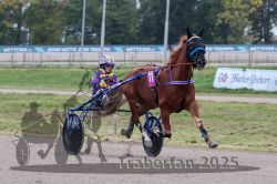 Dateiname=20251009_r02_062_R02_0220.jpg
Dateigröße=294KB
Abmessungen: 1000x667
hinzugefügt am: 09. Oktober 2025 20251009_r02_062_R02_0220.jpg