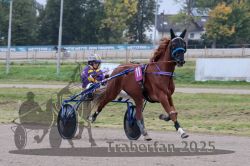 Dateiname=20251009_r02_063_R02_0224.jpg
Dateigröße=291KB
Abmessungen: 1000x667
hinzugefügt am: 09. Oktober 2025 20251009_r02_063_R02_0224.jpg