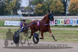 Dateiname=20251009_r02_064_R02_0227.jpg
Dateigröße=297KB
Abmessungen: 1000x667
hinzugefügt am: 09. Oktober 2025 20251009_r02_064_R02_0227.jpg