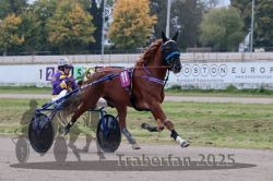 Dateiname=20251009_r02_065_R02_0231.jpg
Dateigröße=305KB
Abmessungen: 1000x667
hinzugefügt am: 09. Oktober 2025 20251009_r02_065_R02_0231.jpg