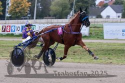 Dateiname=20251009_r02_066_R02_0234.jpg
Dateigröße=297KB
Abmessungen: 1000x667
hinzugefügt am: 09. Oktober 2025 20251009_r02_066_R02_0234.jpg