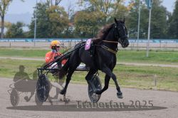 Dateiname=20251009_r02_069_R02_0240.jpg
Dateigröße=280KB
Abmessungen: 1000x667
hinzugefügt am: 09. Oktober 2025 20251009_r02_069_R02_0240.jpg