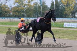 Dateiname=20251009_r02_070_R02_0244.jpg
Dateigröße=300KB
Abmessungen: 1000x667
hinzugefügt am: 09. Oktober 2025 20251009_r02_070_R02_0244.jpg