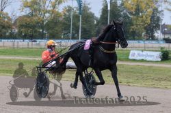 Dateiname=20251009_r02_071_R02_0245.jpg
Dateigröße=303KB
Abmessungen: 1000x667
hinzugefügt am: 09. Oktober 2025 20251009_r02_071_R02_0245.jpg