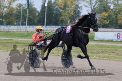 Dateiname=20251009_r02_072_R02_0249.jpg
Dateigröße=301KB
Abmessungen: 1000x667
hinzugefügt am: 09. Oktober 2025 20251009_r02_072_R02_0249.jpg