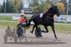 Dateiname=20251009_r02_073_R02_0253.jpg
Dateigröße=312KB
Abmessungen: 1000x667
hinzugefügt am: 09. Oktober 2025 20251009_r02_073_R02_0253.jpg