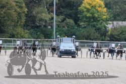 Dateiname=20251009_r02_075_R02_0259.jpg
Dateigröße=338KB
Abmessungen: 1000x667
hinzugefügt am: 09. Oktober 2025 20251009_r02_075_R02_0259.jpg