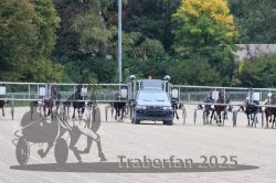 Dateiname=20251009_r02_076_R02_0264.jpg
Dateigröße=344KB
Abmessungen: 1000x667
hinzugefügt am: 09. Oktober 2025 20251009_r02_076_R02_0264.jpg