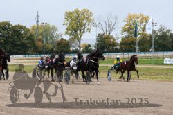 Dateiname=20251009_r02_077_R02_0268.jpg
Dateigröße=341KB
Abmessungen: 1000x667
hinzugefügt am: 09. Oktober 2025 20251009_r02_077_R02_0268.jpg