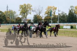 Dateiname=20251009_r02_078_R02_0271.jpg
Dateigröße=343KB
Abmessungen: 1000x667
hinzugefügt am: 09. Oktober 2025 20251009_r02_078_R02_0271.jpg