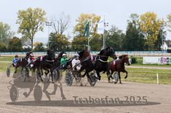 Dateiname=20251009_r02_079_R02_0274.jpg
Dateigröße=355KB
Abmessungen: 1000x667
hinzugefügt am: 09. Oktober 2025 20251009_r02_079_R02_0274.jpg