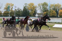 Dateiname=20251009_r02_081_R02_0280.jpg
Dateigröße=345KB
Abmessungen: 1000x667
hinzugefügt am: 09. Oktober 2025 20251009_r02_081_R02_0280.jpg