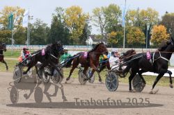 Dateiname=20251009_r02_082_R02_0283.jpg
Dateigröße=378KB
Abmessungen: 1000x667
hinzugefügt am: 09. Oktober 2025 20251009_r02_082_R02_0283.jpg