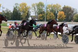 Dateiname=20251009_r02_083_R02_0286.jpg
Dateigröße=356KB
Abmessungen: 1000x667
hinzugefügt am: 09. Oktober 2025 20251009_r02_083_R02_0286.jpg