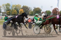 Dateiname=20251009_r02_084_R02_0291.jpg
Dateigröße=329KB
Abmessungen: 1000x667
hinzugefügt am: 09. Oktober 2025 20251009_r02_084_R02_0291.jpg