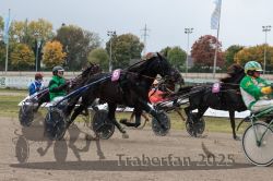 Dateiname=20251009_r02_085_R02_0294.jpg
Dateigröße=315KB
Abmessungen: 1000x667
hinzugefügt am: 09. Oktober 2025 20251009_r02_085_R02_0294.jpg