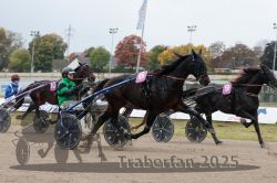 Dateiname=20251009_r02_086_R02_0297.jpg
Dateigröße=277KB
Abmessungen: 1000x667
hinzugefügt am: 09. Oktober 2025 20251009_r02_086_R02_0297.jpg