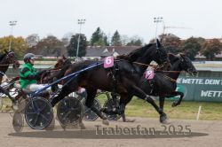 Dateiname=20251009_r02_087_R02_0301.jpg
Dateigröße=256KB
Abmessungen: 1000x667
hinzugefügt am: 09. Oktober 2025 20251009_r02_087_R02_0301.jpg