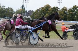 Dateiname=20251009_r02_089_R02_0309.jpg
Dateigröße=307KB
Abmessungen: 1000x667
hinzugefügt am: 09. Oktober 2025 20251009_r02_089_R02_0309.jpg