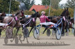 Dateiname=20251009_r02_091_R02_0319.jpg
Dateigröße=355KB
Abmessungen: 1000x667
hinzugefügt am: 09. Oktober 2025 20251009_r02_091_R02_0319.jpg