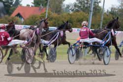 Dateiname=20251009_r02_092_R02_0323.jpg
Dateigröße=330KB
Abmessungen: 1000x667
hinzugefügt am: 09. Oktober 2025 20251009_r02_092_R02_0323.jpg