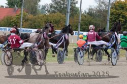 Dateiname=20251009_r02_093_R02_0326.jpg
Dateigröße=371KB
Abmessungen: 1000x667
hinzugefügt am: 09. Oktober 2025 20251009_r02_093_R02_0326.jpg