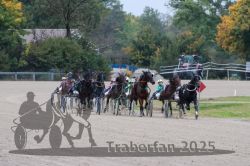 Dateiname=20251009_r02_095_R02_0335.jpg
Dateigröße=312KB
Abmessungen: 1000x667
hinzugefügt am: 09. Oktober 2025 20251009_r02_095_R02_0335.jpg