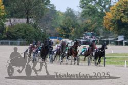 Dateiname=20251009_r02_096_R02_0341.jpg
Dateigröße=325KB
Abmessungen: 1000x667
hinzugefügt am: 09. Oktober 2025 20251009_r02_096_R02_0341.jpg