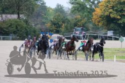 Dateiname=20251009_r02_097_R02_0345.jpg
Dateigröße=335KB
Abmessungen: 1000x667
hinzugefügt am: 09. Oktober 2025 20251009_r02_097_R02_0345.jpg